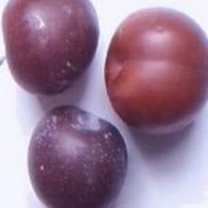 Recept: Knadels met pruimen Recept: Knadels met pruimen