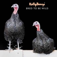 Recept: KellyBronze Paas Diner