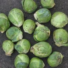 Recept: Spruitjessoep