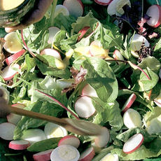 Recept: Salade van jonge blaadjes,radijs en kwarteleitjes