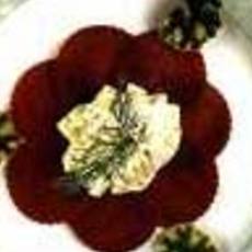 Recept: Fris slaatje van zure haringfilets en rode biet