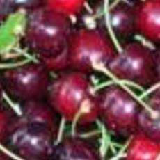 Recept: Kersenjam met rozenbottelthee Recept: Kersenjam met rozenbottelthee