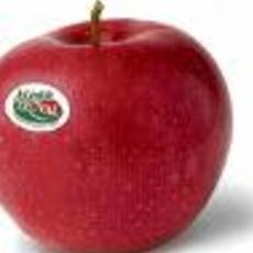 Recept: Thee-en-appelgelei Recept: Thee-en-appelgelei