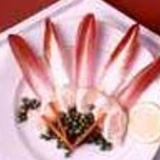 Recept: Rood witlof met kip