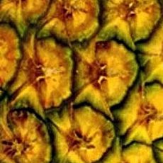Recept: Ananas met kletskoppen