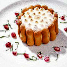 Recept: Advocaatcharlotte