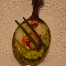Recept: Gegrilde coquille op een bedje van mangopuree