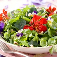 Recept: Kruidensalade met Oost-Indische kers Recept: Kruidensalade met Oost-Indische kers