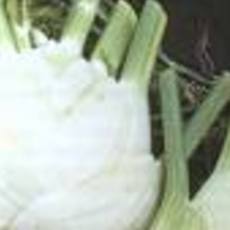 Recept: Venkel met kaas