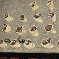 Recept: garnalenrondjes