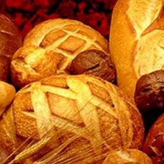 Recept: Basisrecept voor perfect brood