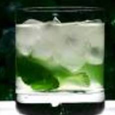 Recept: Mojito