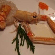 Recept: Tartaartje van langoustine met saffraansaus Recept: Tartaartje van langoustine met saffraansaus