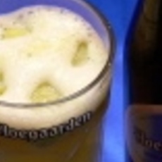 Recept: Sorbet van Hoegaarden, appel en kiwi