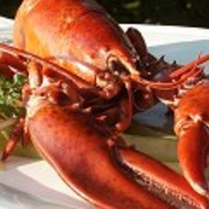 Recept: Geroosterde kreeft met dressing van passievruchten