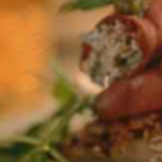 Recept: Rosbief-champignontruffeltjes met rucolasalade 