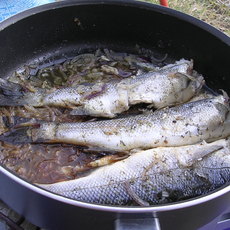 Recept: Camping 