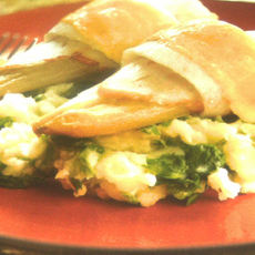 Recept: Ovenschotel van vis en witloof