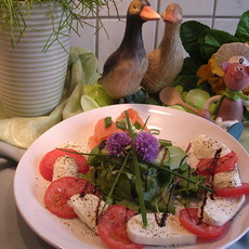 Recept: Een fris slaatje met tomaat en mozzarella en gerookte zalm