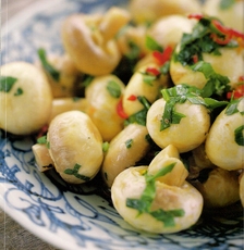 Recept: Insalata di Funghi ( salade van paddestoelen )