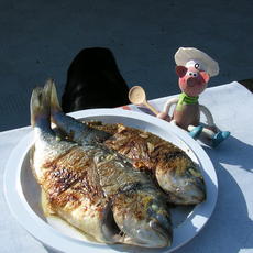 Recept: Vakantie :Dorade Royal met provencaalse kruiden Recept: Vakantie :Dorade Royal met provencaalse kruiden