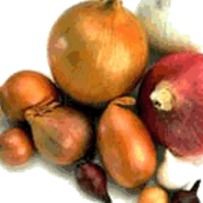 Recept: Cipolle al balsamico (uien in balsamico-azijn)