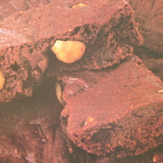 Recept: Hazelnoot-chocolade Brownies