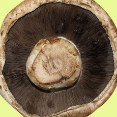 Recept: Champignons met kruidenkaas en Reblochon