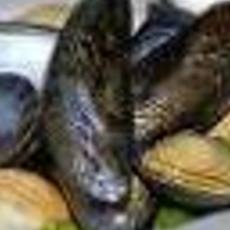 Recept: Greenshell mosselen met frisse marinade