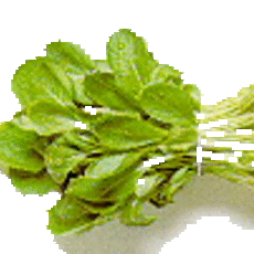 Recept: Lentestampot van gierst 