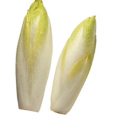 Recept: Gebakken tong met witlof en roomsaus