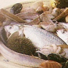 Recept: Zuppa di pesce