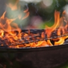 Recept: Sosaties (vleesspies) met abrikozen