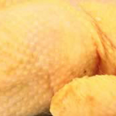 Recept: Superkip met bos-champignons en rijst Recept: Superkip met bos-champignons en rijst