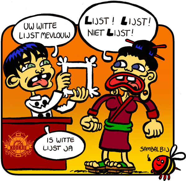 Dat is lasistisch