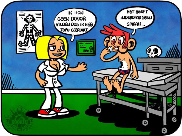 Vleesvervanger