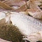 Zuppa di pesce