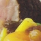 Varkensrollade met appelsaliechutney