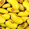Friese woudboontjes