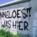 anneloes