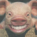marcj8