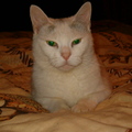lindafaith